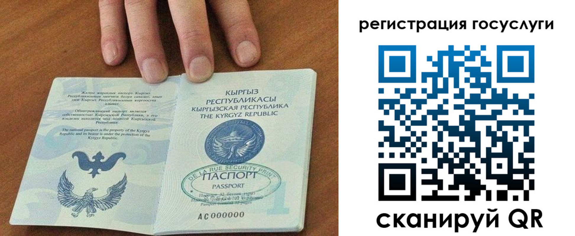 прописка ребенка в Обояни